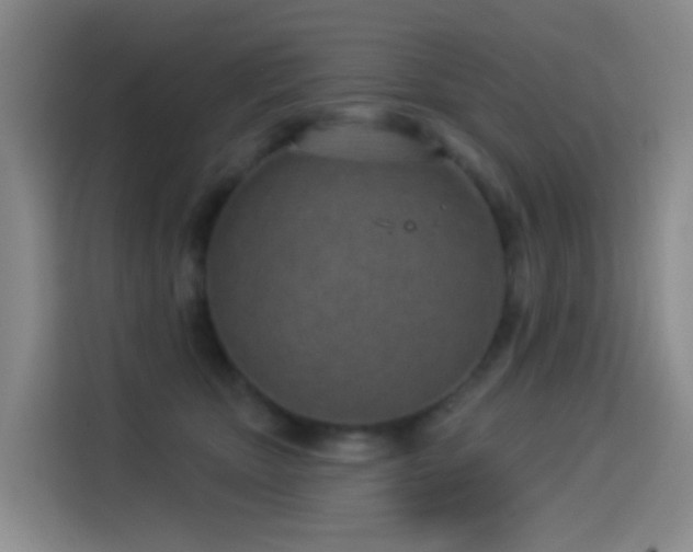 X0000114490467200910191234