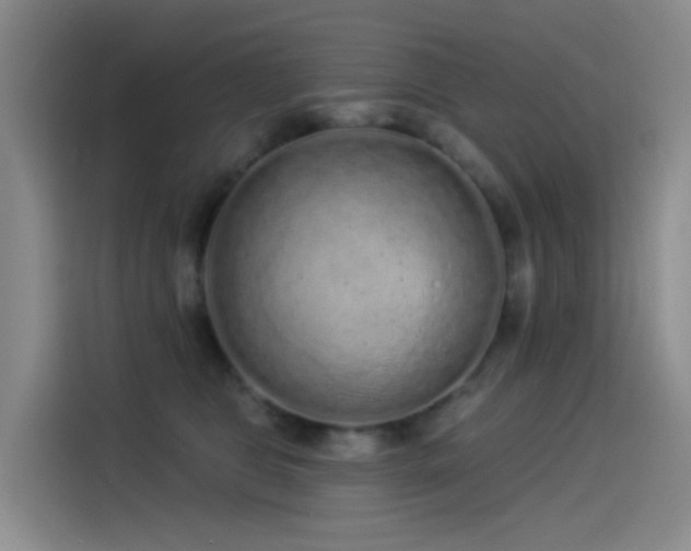 X0000114490469200910191234