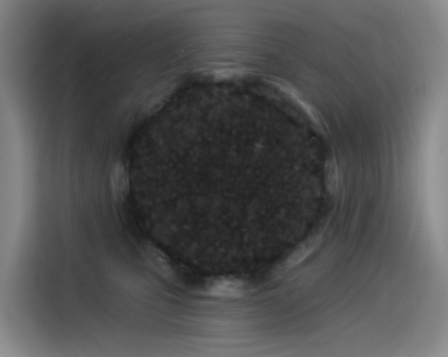 X0000114490471200910191234