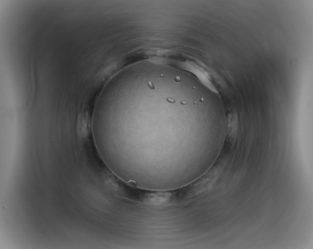 X0000114490474200910191234
