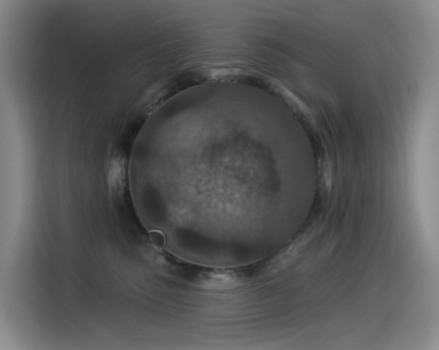 X0000114490475200910191234
