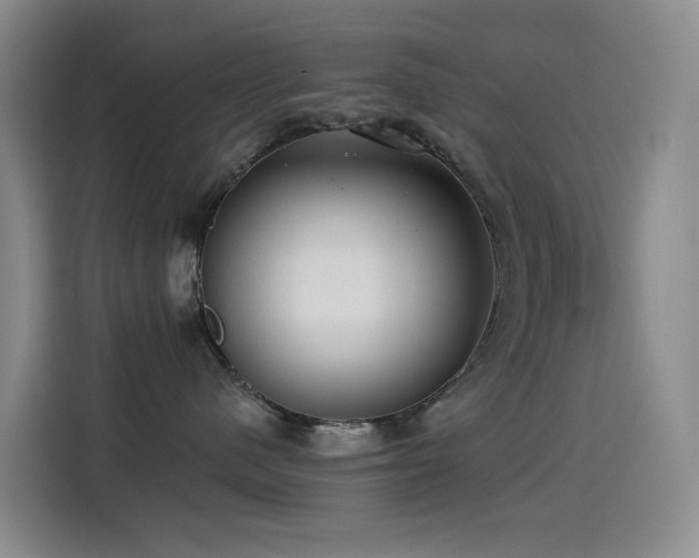 X0000114490480200910191234