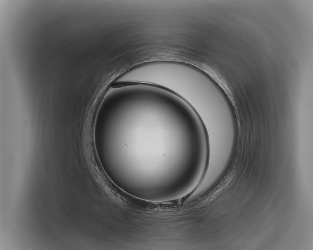 X0000114490481200910191234
