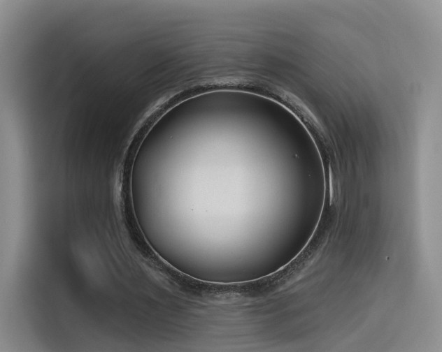 X0000114490483200910191234