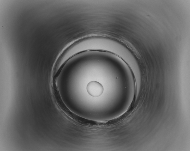 X0000114490484200910191234