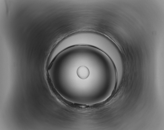 X0000114490485200910191234