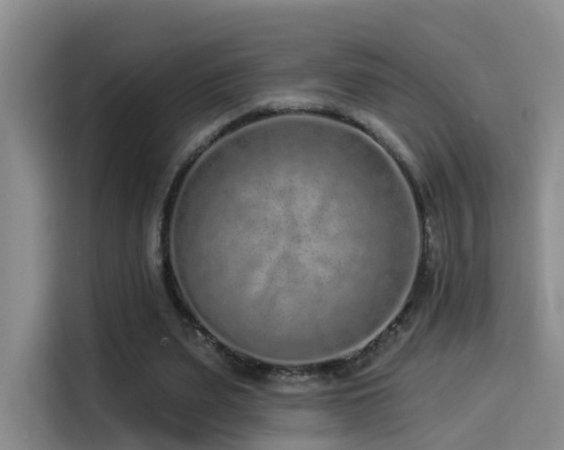 X0000114490487200910191234