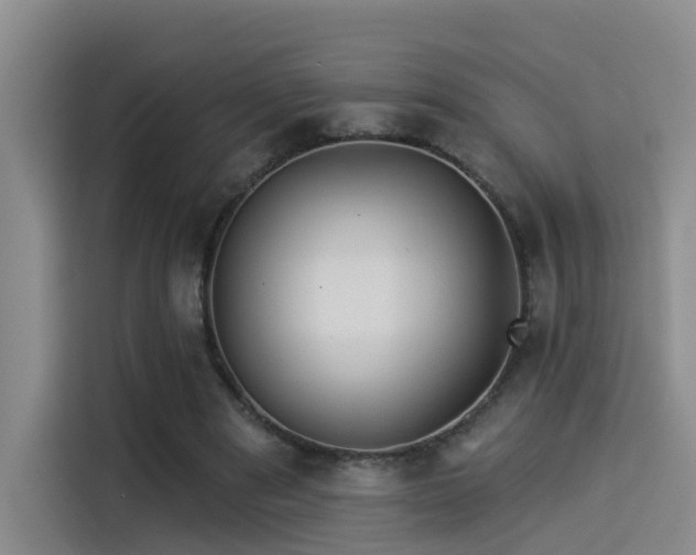 X0000114490489200910191234
