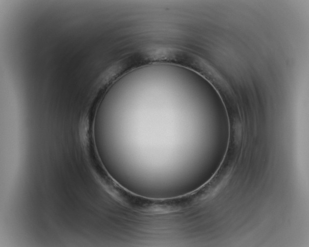 X0000114490490200910191234