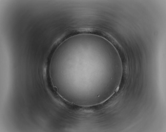 X0000114490491200910191234