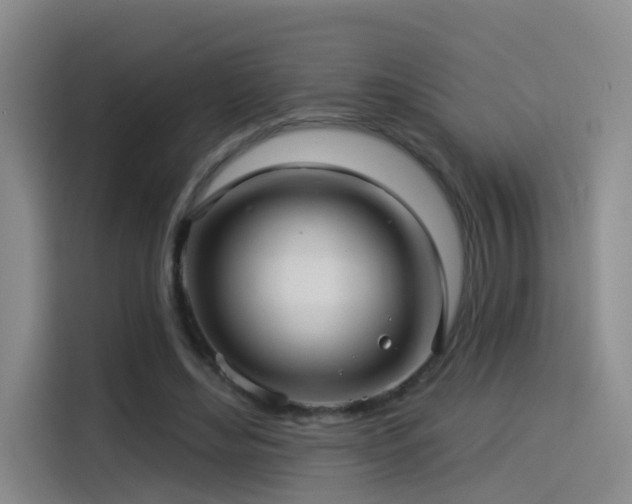 X0000114490492200910191234