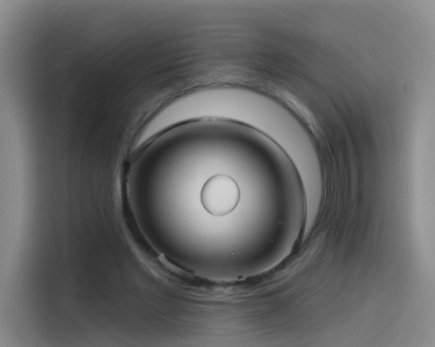 X0000114490493200910191234