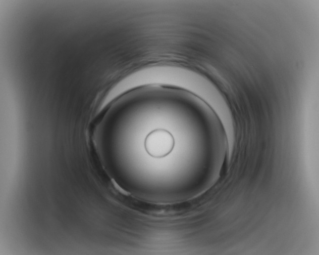 X0000114490500200910191234