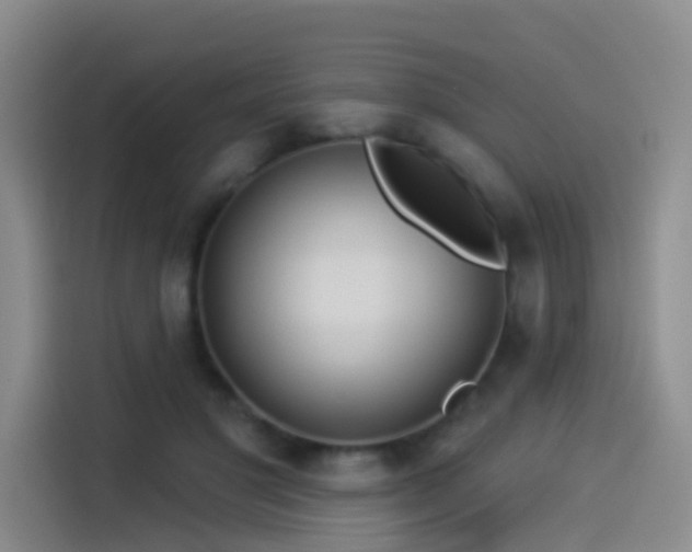 X0000114490501200910191234