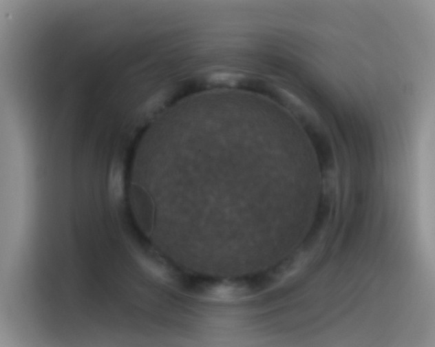 X0000114490504200910191233