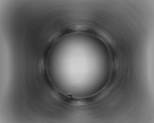 X0000114490506200910191233