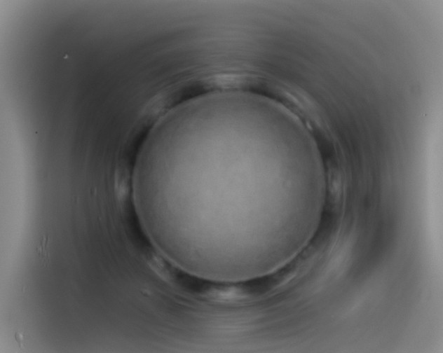 X0000114490507200910191233