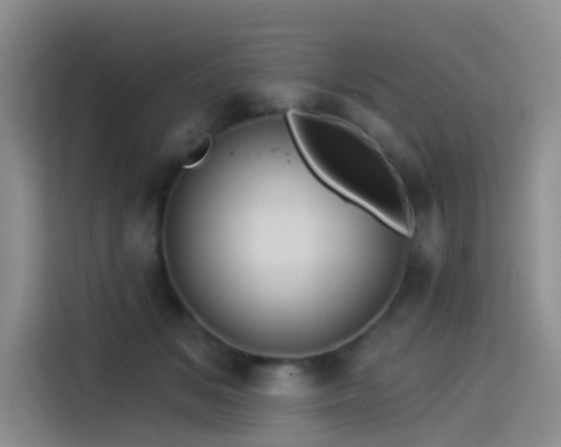 X0000114490509200910191233