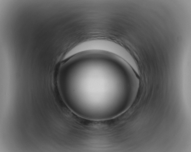 X0000114490512200910191233