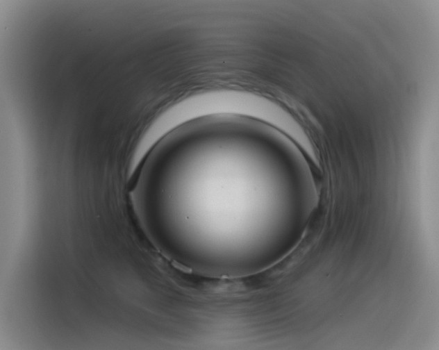 X0000114490517200910191233