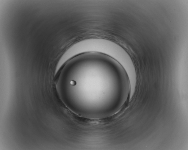 X0000114490521200910191233