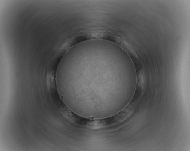 X0000114490522200910191233