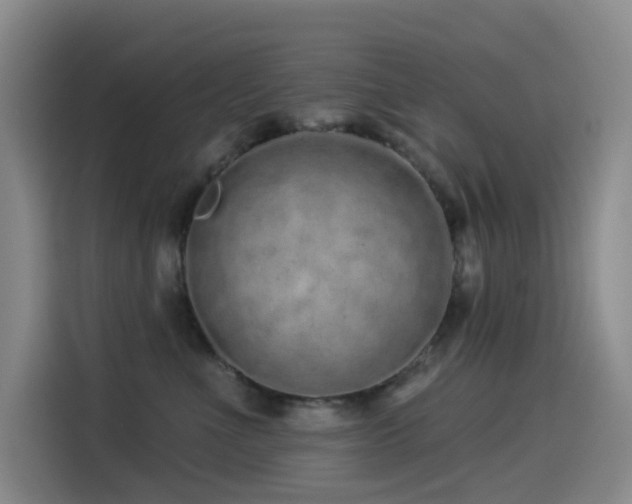 X0000114490523200910191233