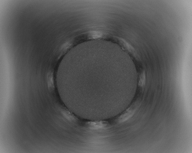 X0000114490524200910191233
