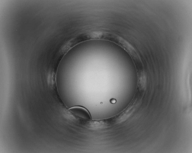X0000114490525200910191233