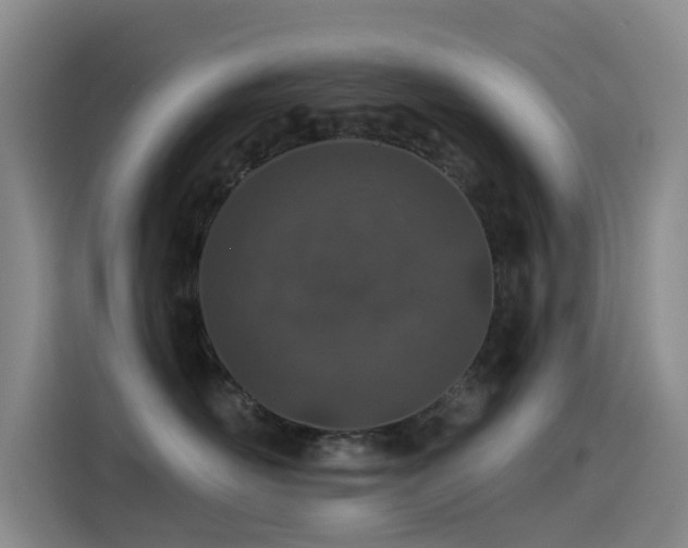 X0000114490526200910191233
