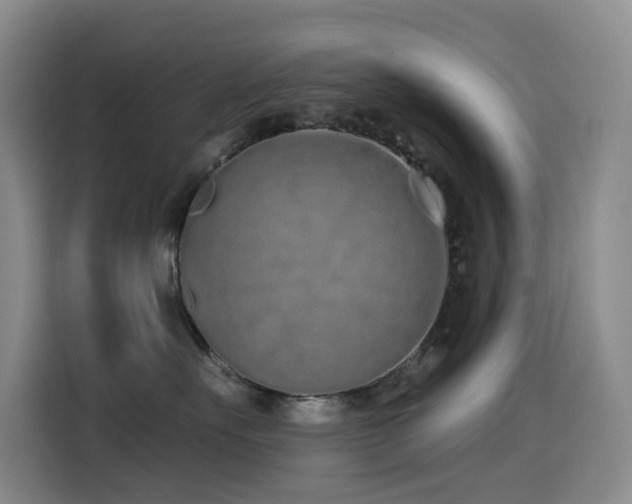 X0000114490527200910191233
