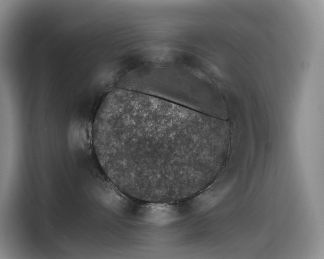 X0000114490528200910191233