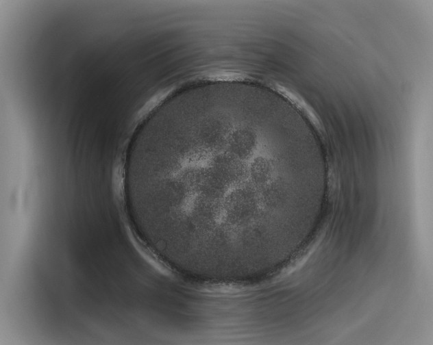 X0000114490533200910191233
