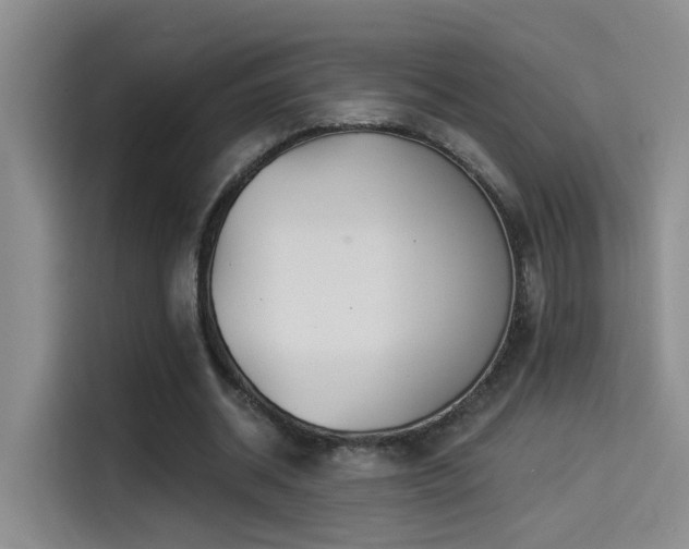 X0000114490534200910191233