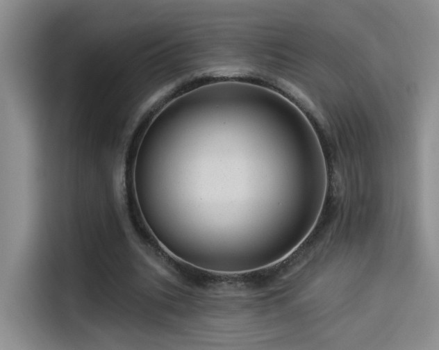 X0000114490535200910191233