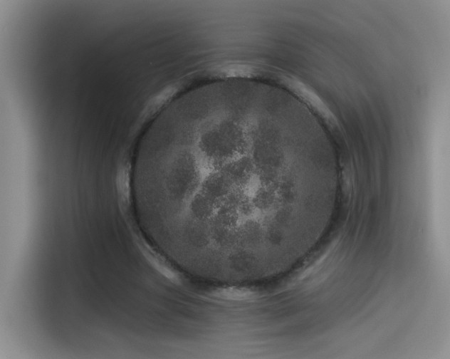X0000114490537200910191233