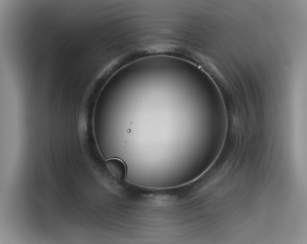 X0000114490539200910191233