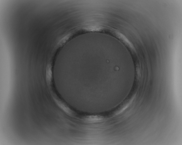 X0000114490541200910191233