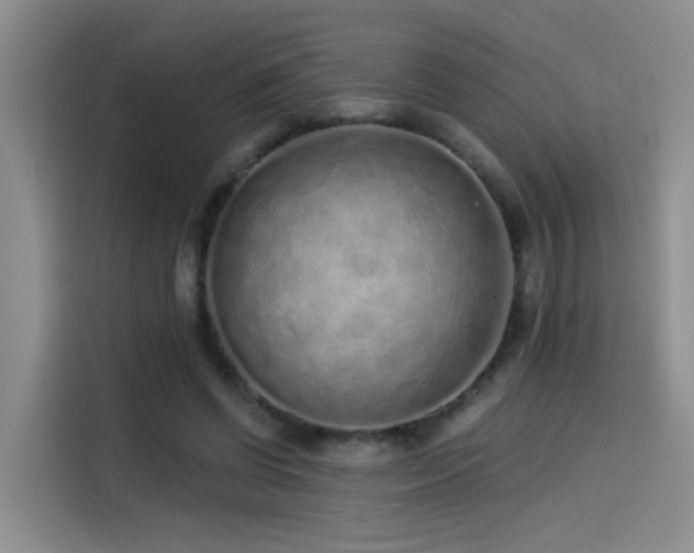 X0000114490542200910191233