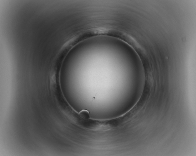 X0000114490543200910191233