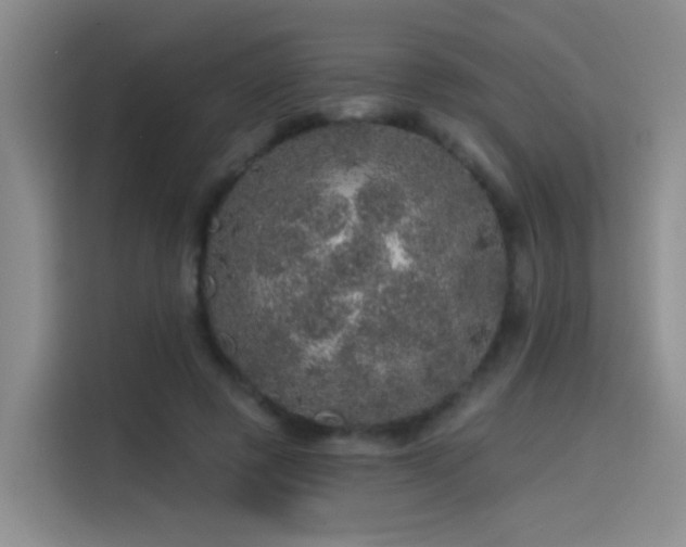 X0000114490545200910191233
