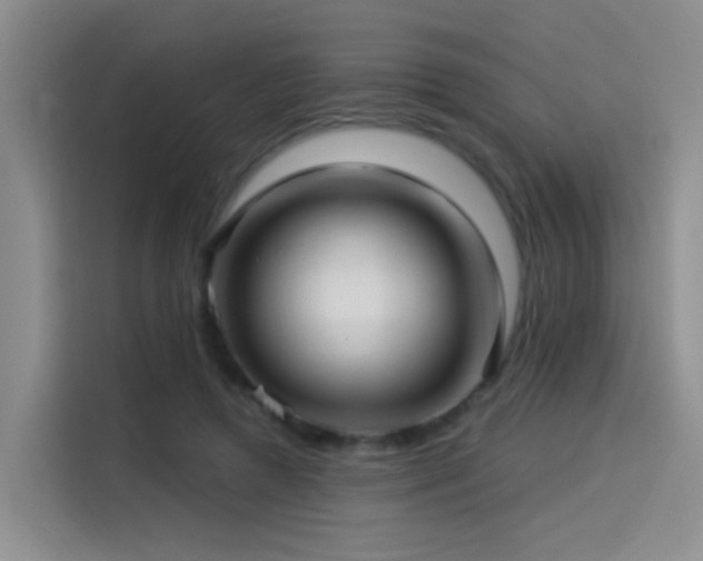 X0000114490546200910191233