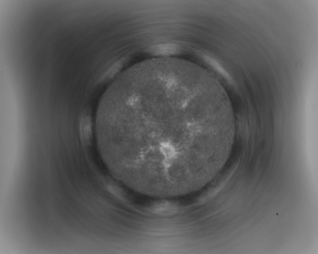 X0000114490549200910191233