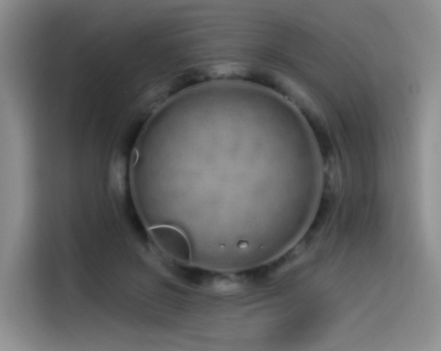 X0000114490550200910191233