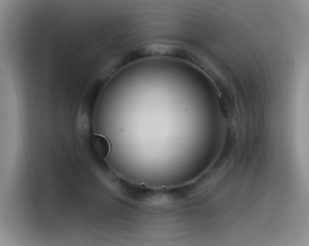 X0000114490551200910191233