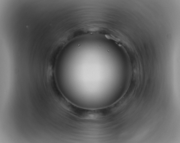 X0000114490555200910191233