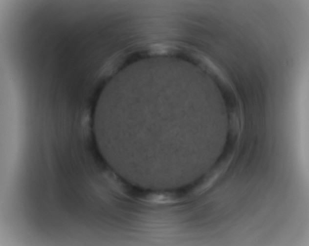 X0000114490557200910191233