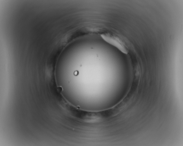X0000114490559200910191233