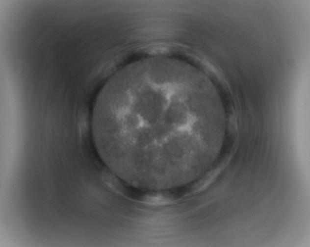 X0000114490561200910191233