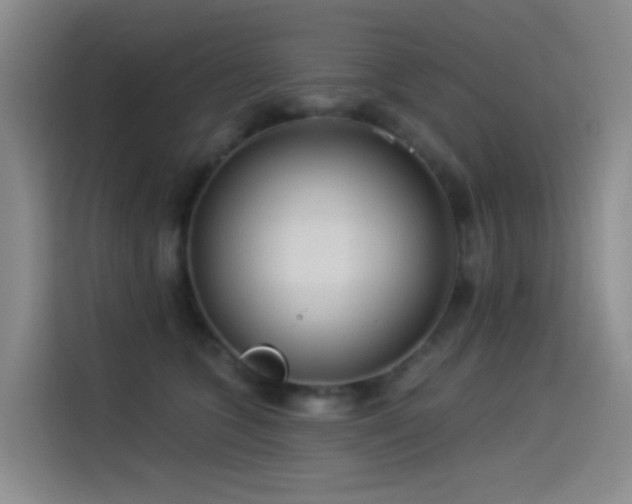 X0000114490563200910191233